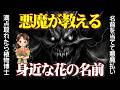 悪魔が教える身近な花の名前!前代未聞の意地悪クイズで、満点取ったら植物博士!コメントで特に難しかった問題を教えてください。