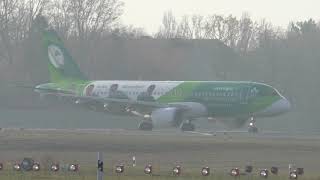Flughafen Berlin Tegel - Aer Lingus Airbus A320-214 Ei-Deo Irish Rugby Team Livery St Sebastian