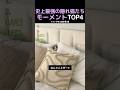 史上最強の隠れ猫たちモーメントTOP4