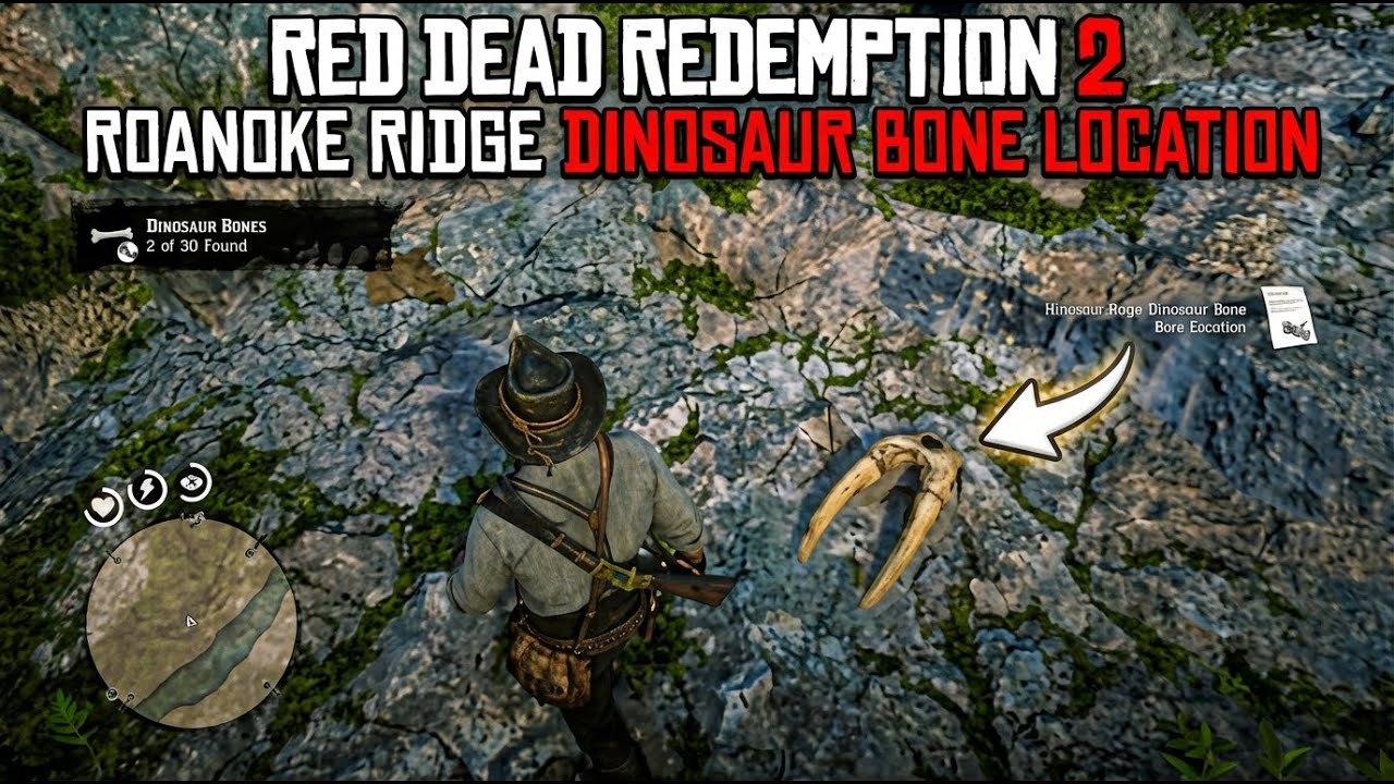 Roanoke Ridge Rdr 2 Red Dead Redemption 2 - Roanoke Ridge Dinosaur Bone Location - YouTube