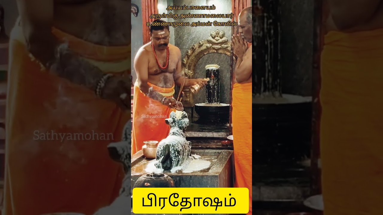 1-03-2026 பிரதோஷம் #ayyampalayam #tamil #sivaya #mahadeva #sivan #om #பிரதோஷம் #அண்ணாமலையார்