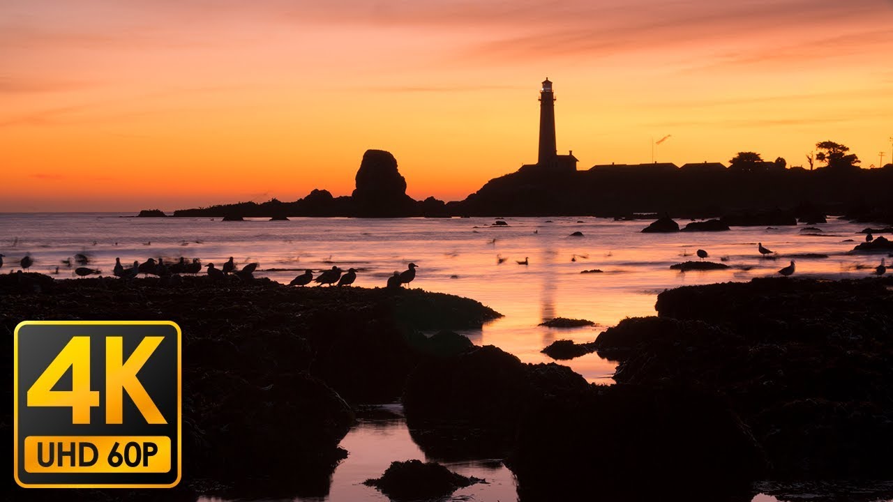 【4K Nature & Sceneries】Pigeon Point Lighthouse, California [4K 60P GH5]