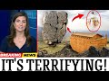 Ancient Noah's Ark Artifacts Found — The Truth About the Flood Finally Revealed!
