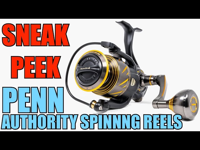 Sneak Peek: Penn Authority Spinning Reels