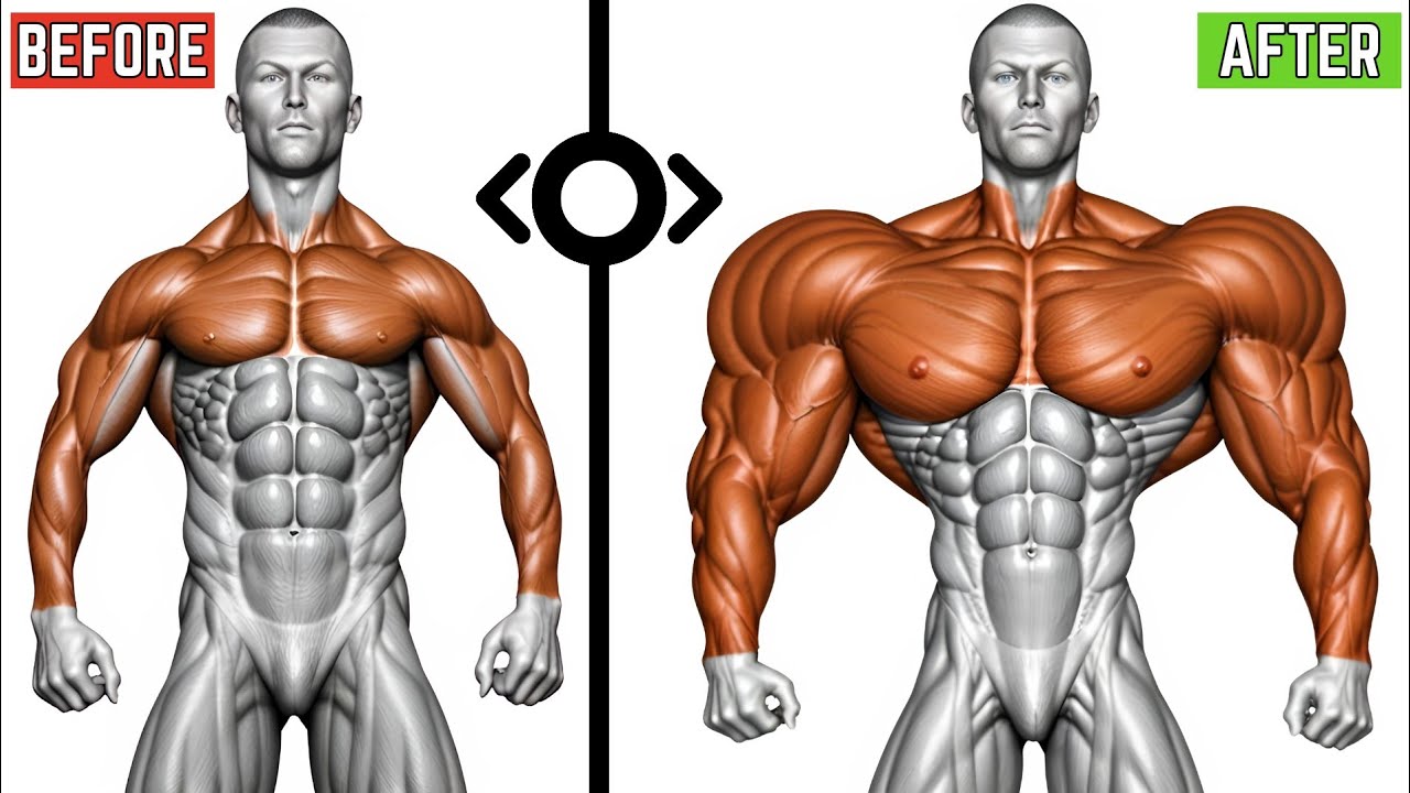 The Ultimate Upper Body Workout For Maximum Gains - YouTube