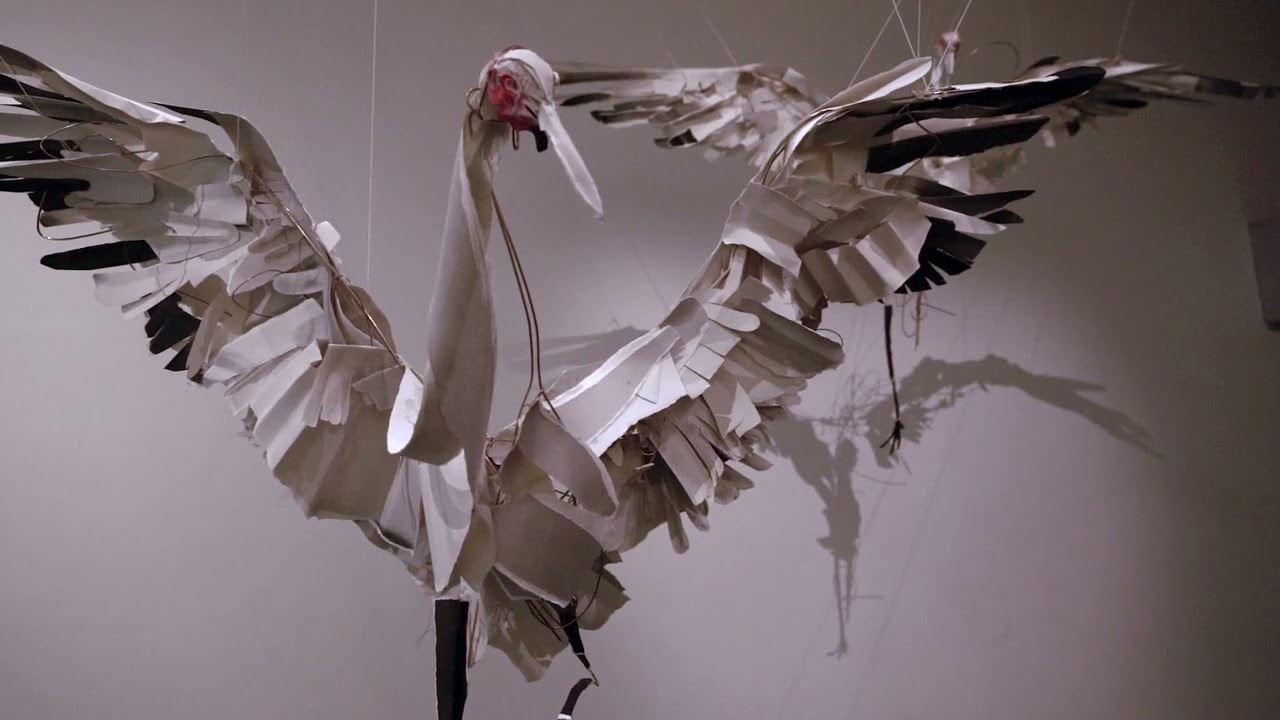 Anna-Wili Highfield: Mating Dance (with sound by Bree Van Reyk)