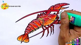 Vẽ Con Tôm Hùm/How To Draw A Lobster - Youtube