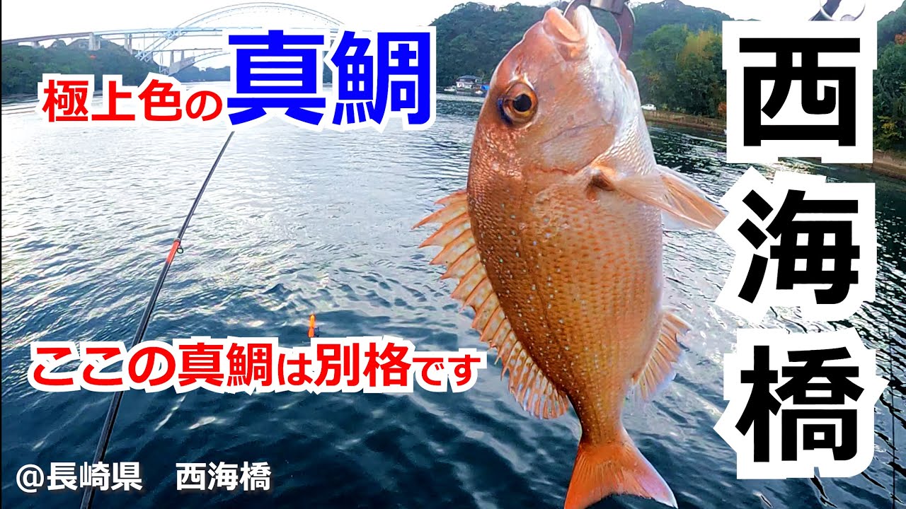 長崎県の海釣り: 空撮フィッシングポイント290 長崎県の海釣り: 空