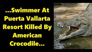 American Crocodile Kills Swimming Tourist In Puerto Vallarta