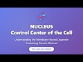 Nucleus: Control Center of the Cell | Cell Biology Explained