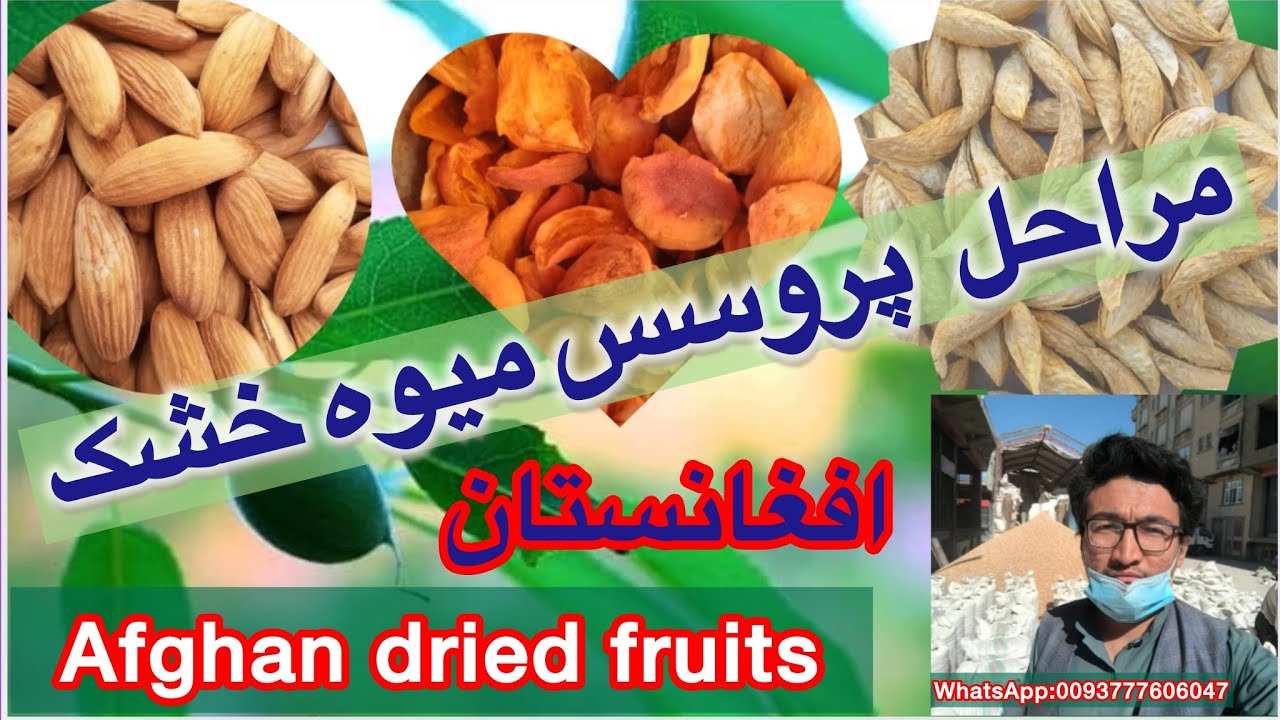 Daykundi Almonds Afghan Dried daykundi-almonds-afghan-dried
