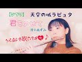 【君をのせて/井上あずみ】フルートで吹いてみた♪【ジブリ】