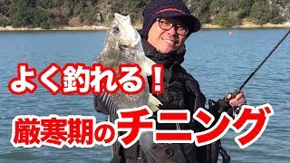 むう ぴょんこの天邪鬼探検隊