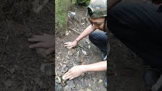 Download Lagu Nemu duit di jalan ❎ Nemu duit di gunung ✅ MP3 Download Lagu Nemu duit di jalan ❎ Nemu duit di gunung ✅ MP3