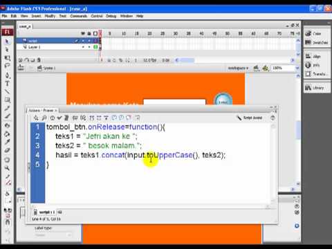 Flash Tutorial: Text input variable
