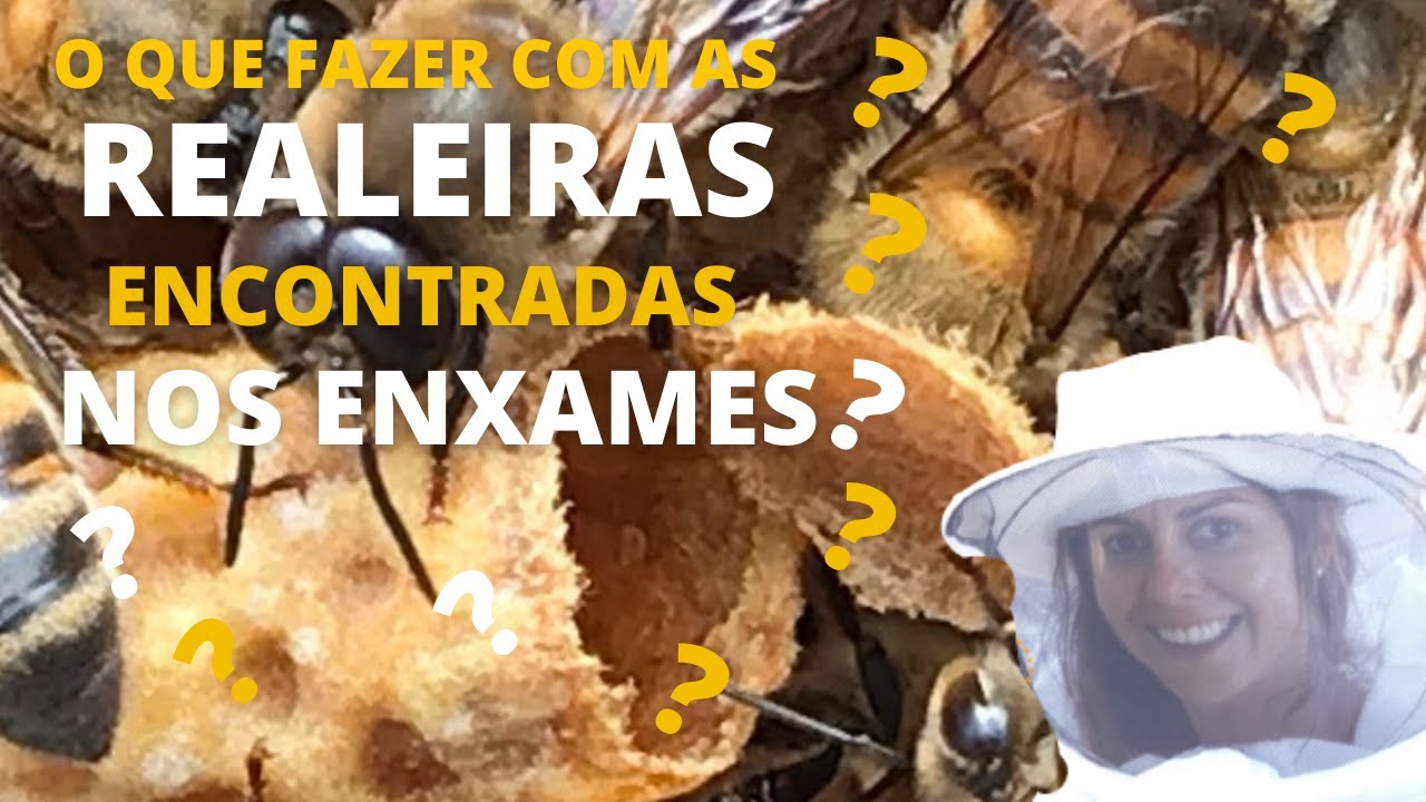 O QUE FAZER COM AS REALEIRAS ENCONTRADAS NOS ENXAMES?