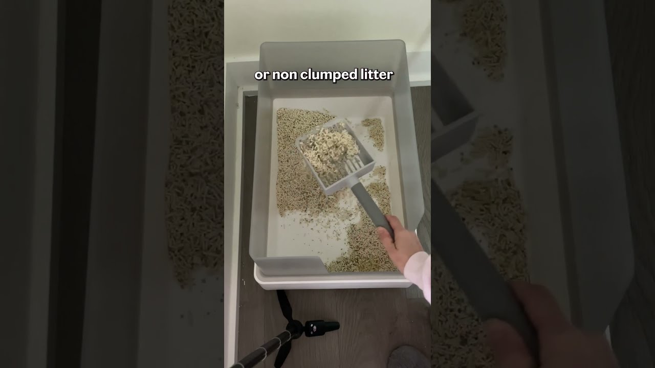 How to scoop a litter box discount