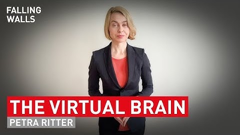 Breaking the Wall to the Virtual Brain