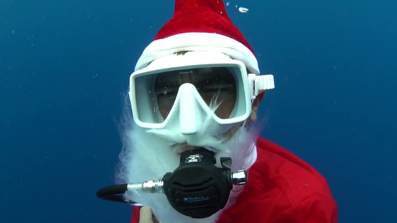 Happy Holidays from Manta Dive🧜‍♀️🧜‍♂️