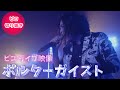 【ライブ映像】ポルターガイスト【2021/12/19 ピコライブ映像切り抜き】