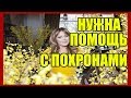 Власти Москвы помогают семье Началовой с похоронами