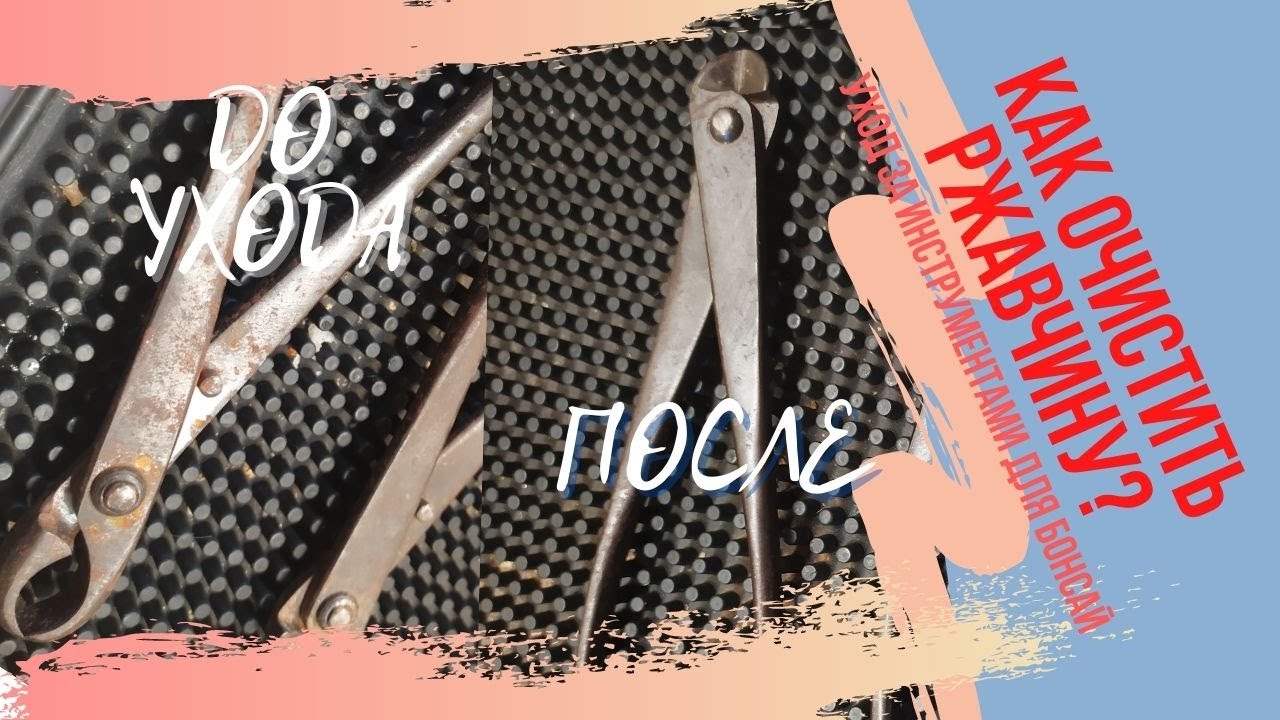 Как быстро убрать ржавчину на инструментах для бонсай?