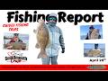 30+ LB BAGS MORNING &amp; AFTERNOON | Deep and Shallow Smallmouth Pattern Heating Up