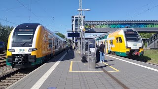 Siemens Desiro HC von der ODEG auf der RB17 roomtour