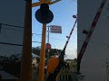 Highlight live