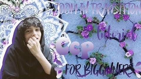 Zoom in transition on CC & CCP for beginners