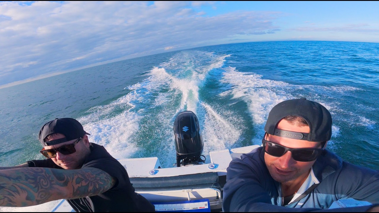 Reel them in quick - sharks are hungry