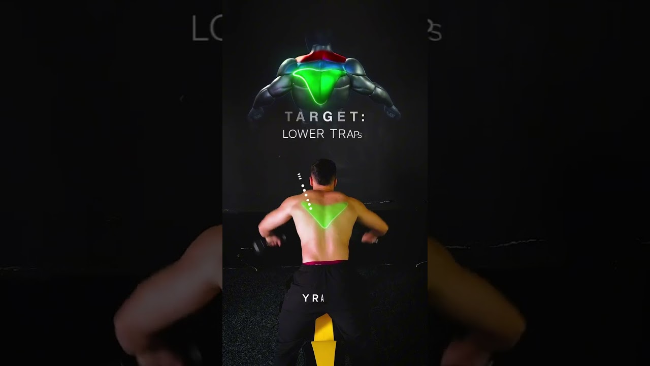 "Build those boulder shoulders! 💪🔥 Target your upper traps with effective dumbbell shrugs ! 🏋️‍♂️💯 "