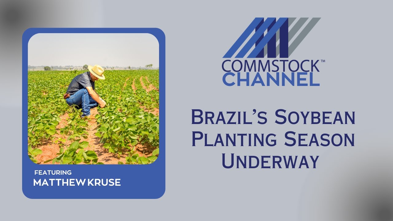 Brazil's Soybean Planting Season Underway - YouTube
