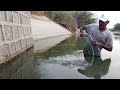 Fishing||Unbelievable fishing technique video||Catching fishes in drying waters