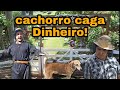 O PADRE E O CÃO QUE CAGA DINHEIRO! @OESCRACHO #viralvideo #humor #comedia
