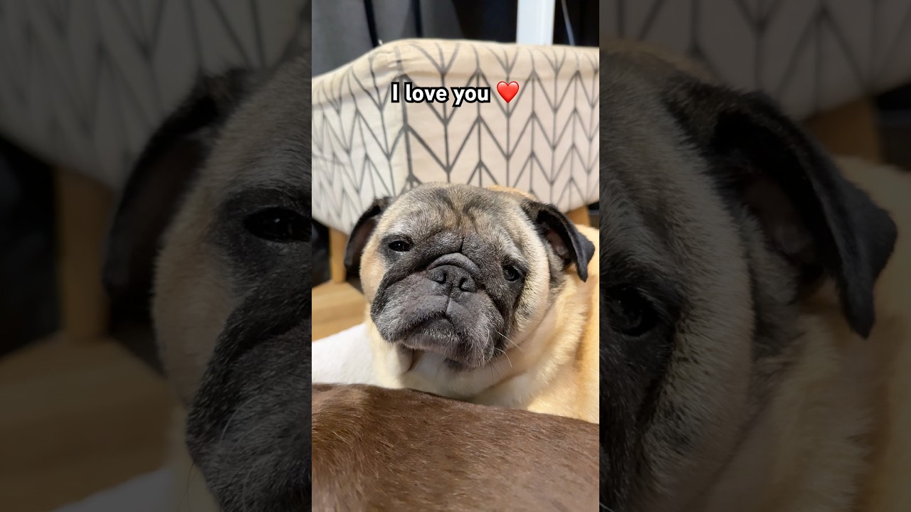 ЛУЧШИЕ ДРУЗЬЯ НАВСЕГДА 🥰🤭 