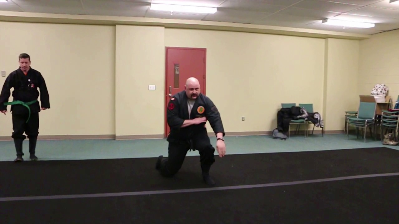 Bujinkan Ninjutsu, 7th Kyu, part 11 - shizen den sokuho kaiten katate