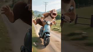 bandar se chali #bandar #shortvideo #shorts #funny #cat #love