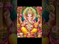 Om gam Ganapathaye namaha 🙏🙏 #ganesh #ganesha #ganapathi #ganapathibappa
