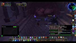 Wow use bug totme chaman