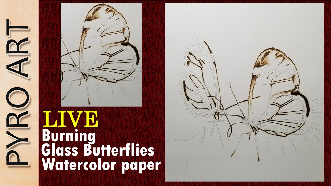 Burning butterfly drawing