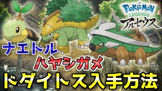 Arceus] How to obtain Dodaitose, Turtwig, and Spurfly and the