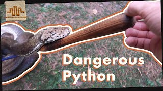 Training a Dangerous Python