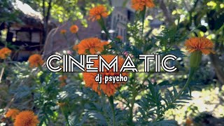 story wa 30 detik cinematic|lagu Dj psycho x tiban-tiban