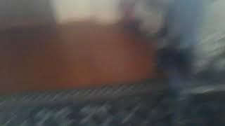 Berke Kalfa İt Evimizi Bastı