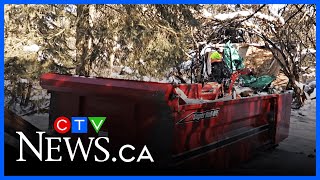 Tiny home torn down in Guelph
