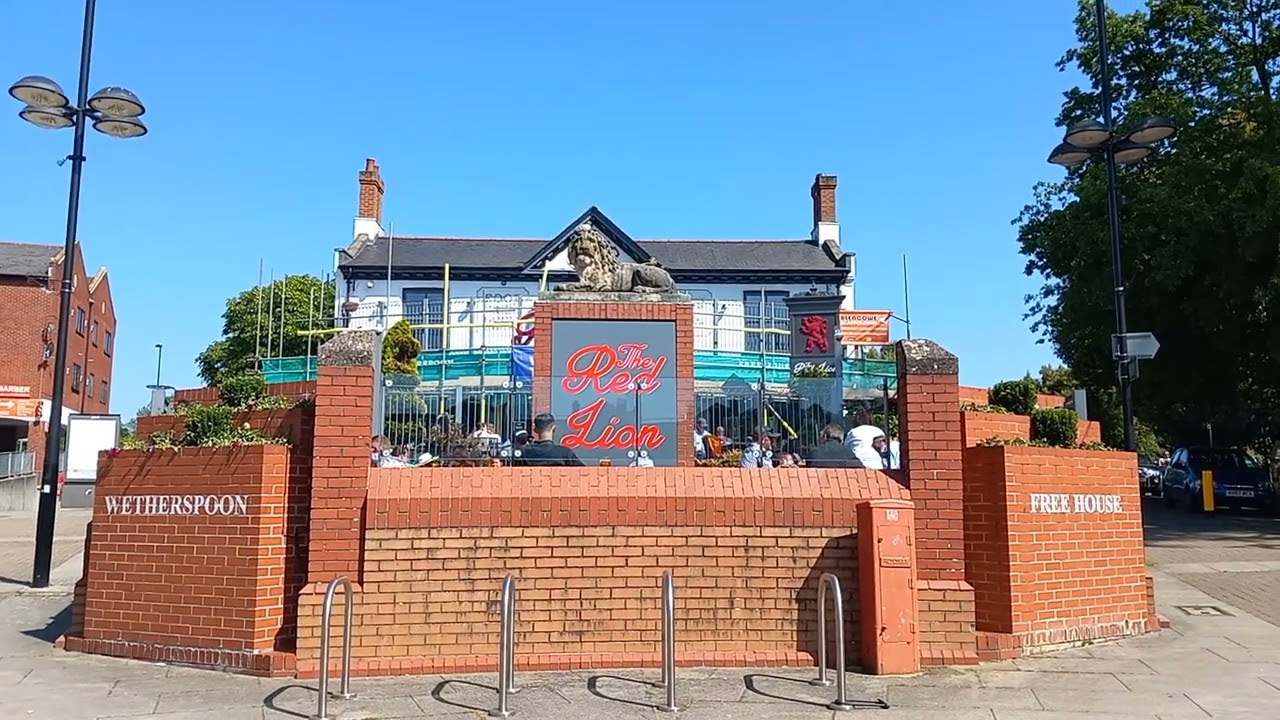 Relaxing Red Lion Bar 🦁🍻