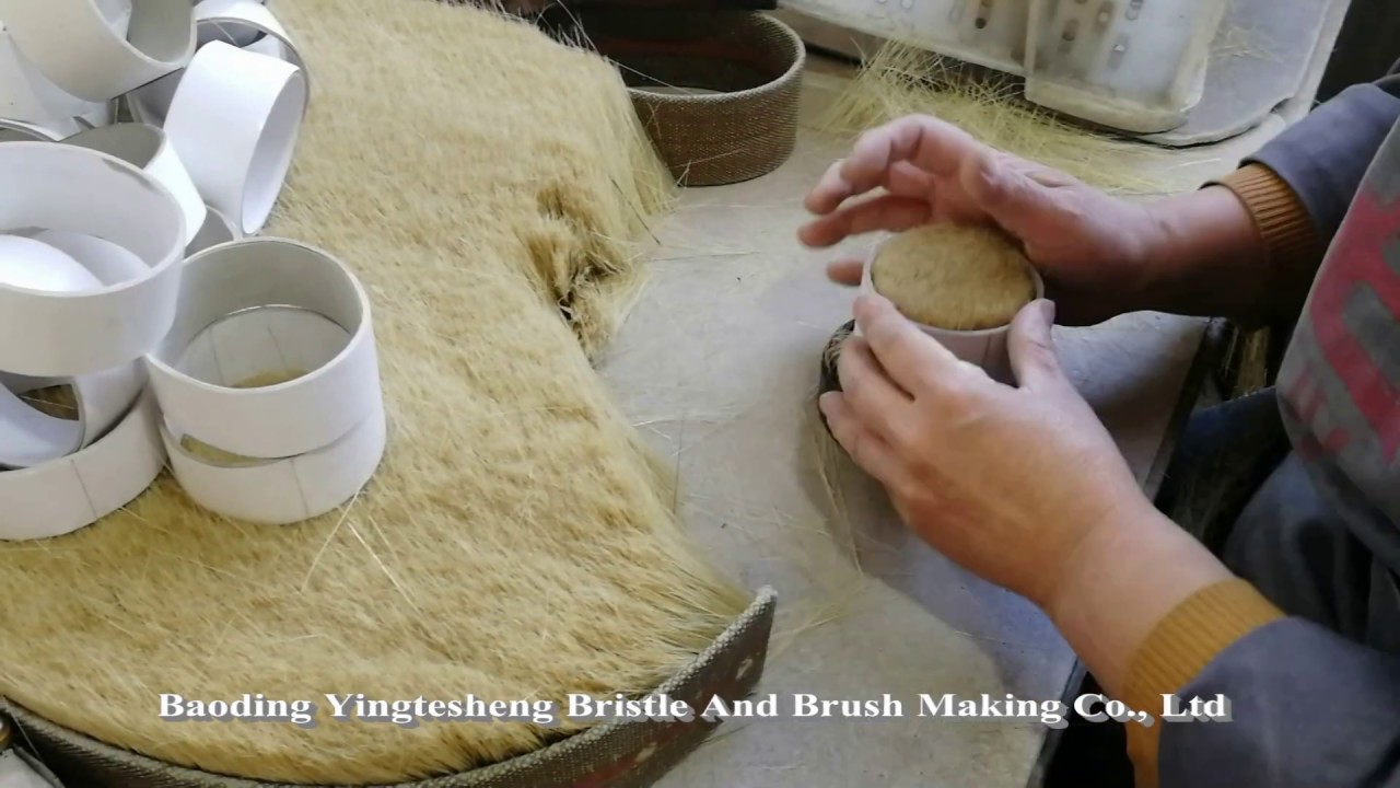 China Boiled Bristle