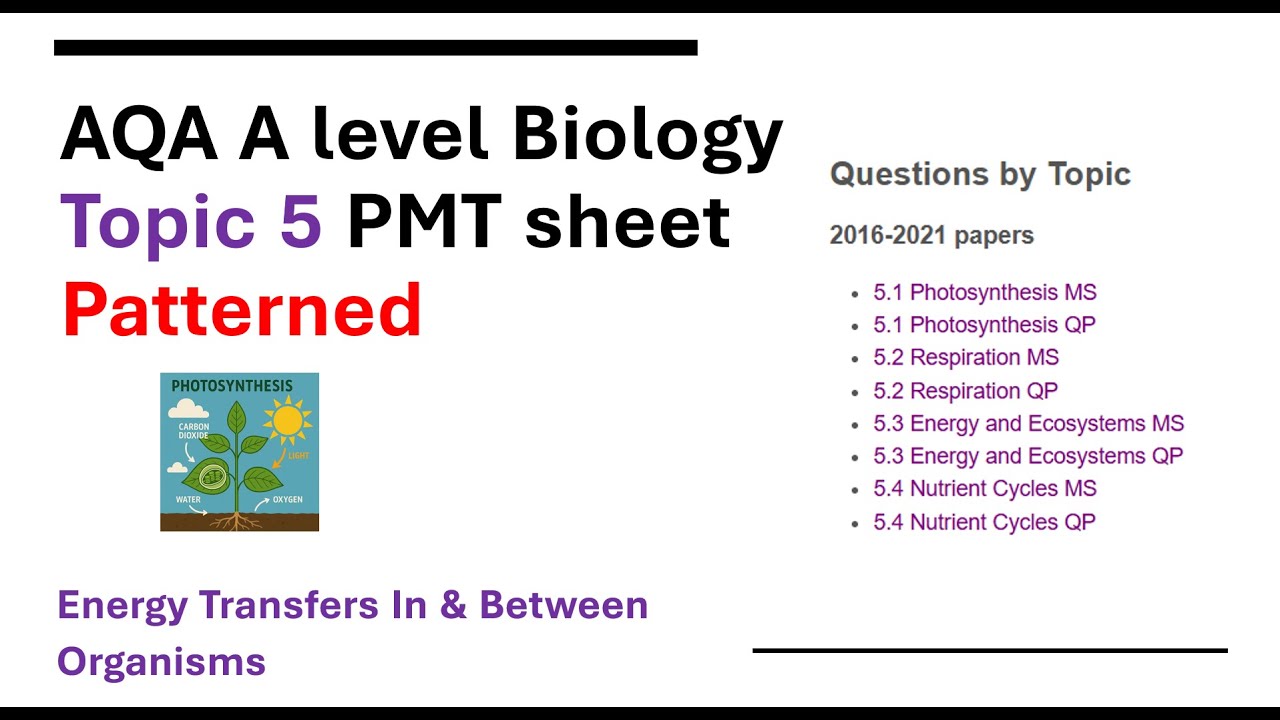 AQA A level Biology Topic 5 All PMT Sheets Patterned (Energy Transfers ...