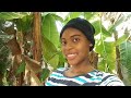 Come Walk Through My Garden With Me (What These Plants Do)